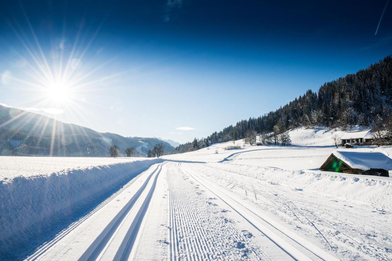 Natursinn Mountainchalets Flachau Luaran gambar